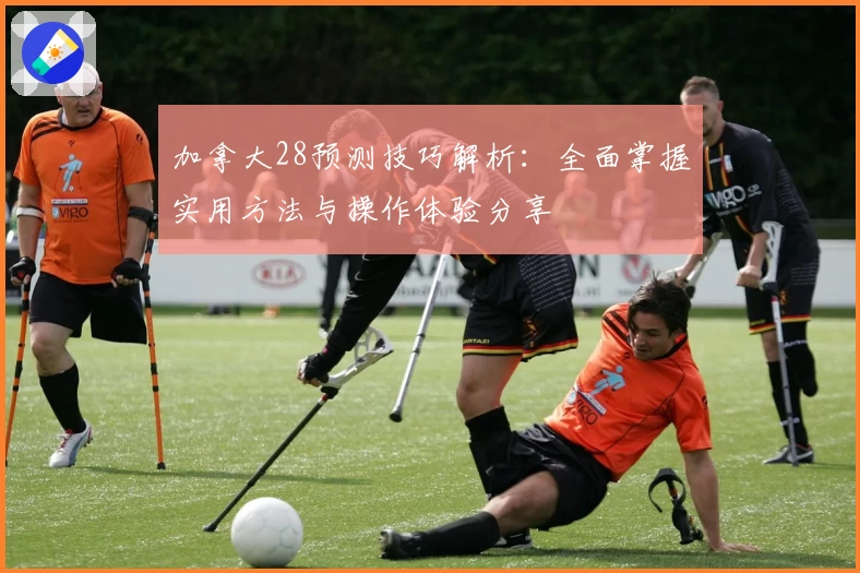 加拿大28预测技巧解析：全面掌握实用方法与操作体验分享