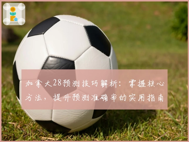 加拿大28预测技巧解析：掌握核心方法，提升预测准确率的实用指南
