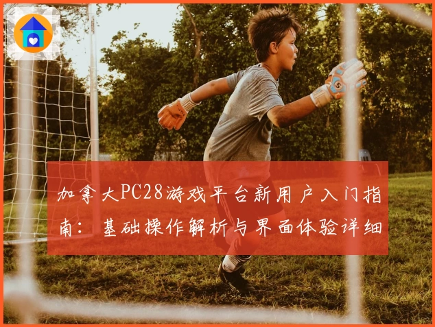 加拿大PC28游戏平台新用户入门指南：基础操作解析与界面体验详细说明