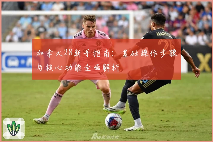 加拿大28新手指南：基础操作步骤与核心功能全面解析