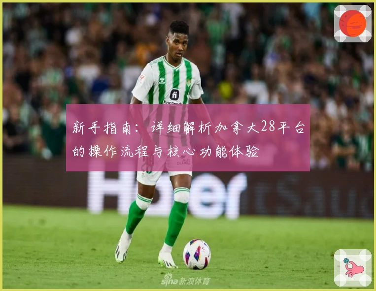 新手指南：详细解析加拿大28平台的操作流程与核心功能体验