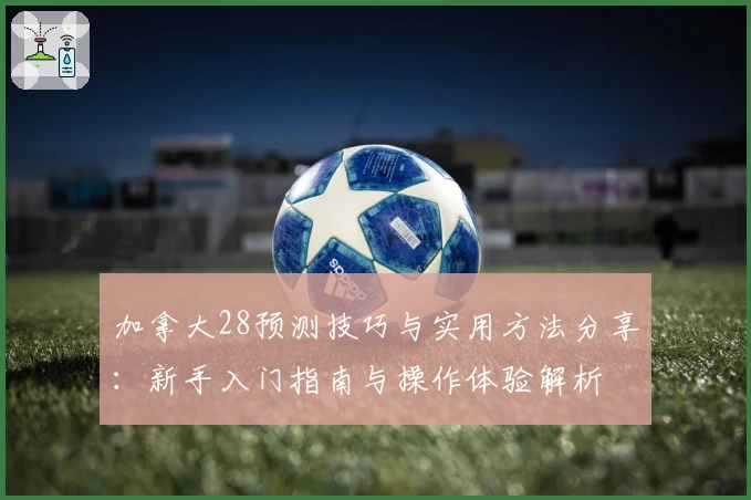 加拿大28预测技巧与实用方法分享：新手入门指南与操作体验解析