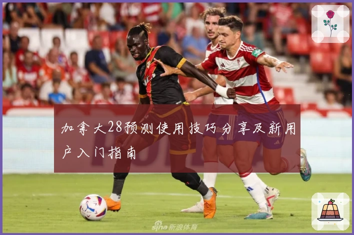 加拿大28预测使用技巧分享及新用户入门指南