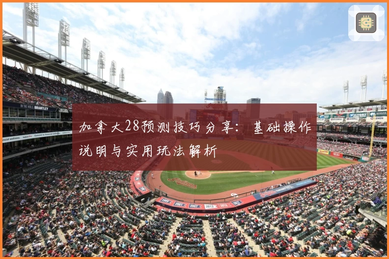 加拿大28预测技巧分享：基础操作说明与实用玩法解析