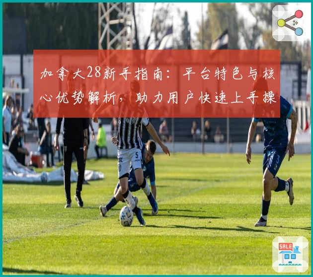 加拿大28新手指南：平台特色与核心优势解析，助力用户快速上手操作体验