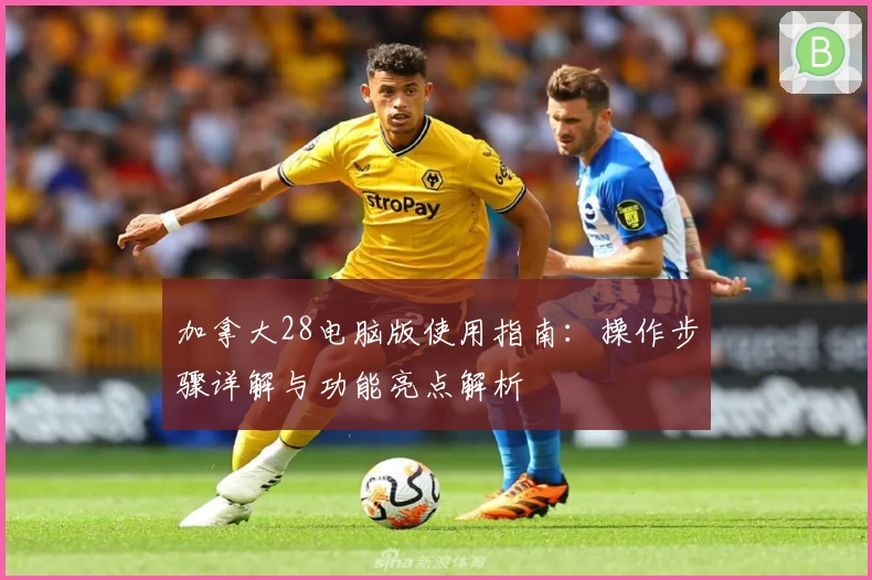 加拿大28电脑版使用指南：操作步骤详解与功能亮点解析