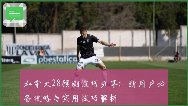 加拿大28预测技巧分享：新用户必备攻略与实用技巧解析