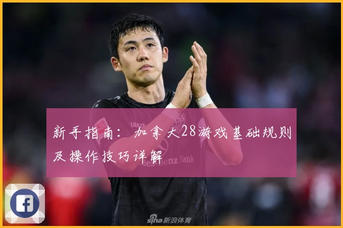 新手指南：加拿大28游戏基础规则及操作技巧详解