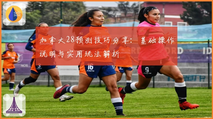 加拿大28预测技巧分享：基础操作说明与实用玩法解析