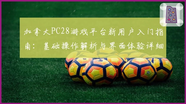 加拿大PC28游戏平台新用户入门指南：基础操作解析与界面体验详细说明