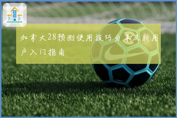 加拿大28预测使用技巧分享及新用户入门指南